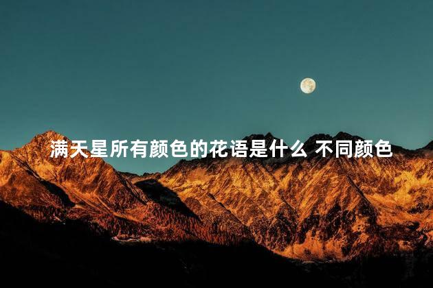 满天星所有颜色的花语是什么 不同颜色雏菊的花语